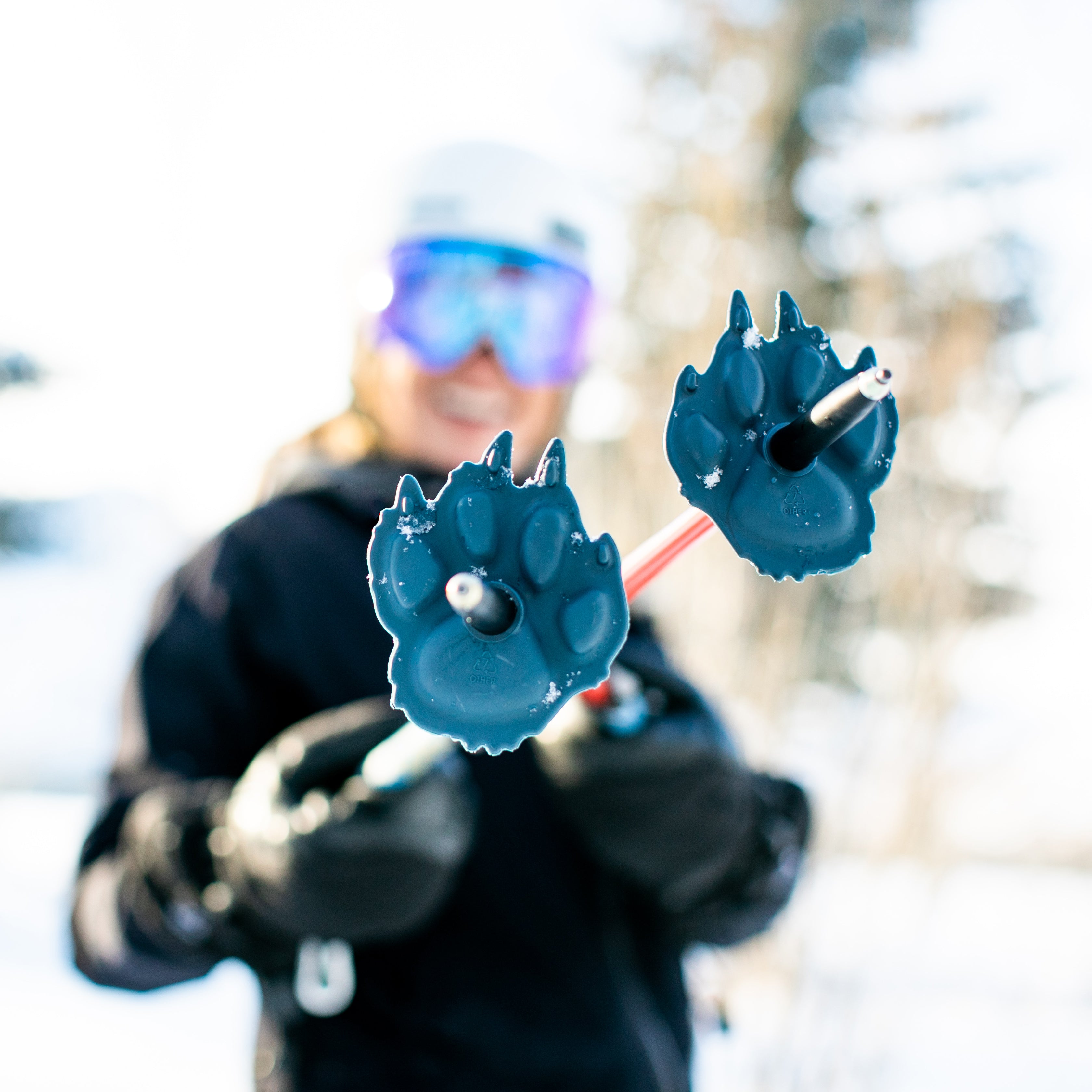 Wolf Mountain Lion Ski Pole Baskets - Biodegradable Universal Fit For Powder & Groomed Runs